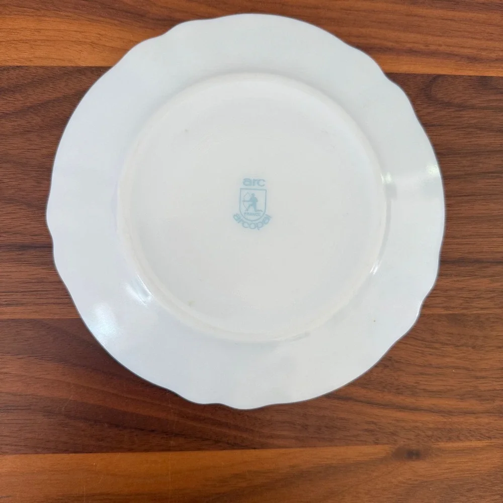 Vintage Arc Arcopal France Veronica Blue Floral 7.5